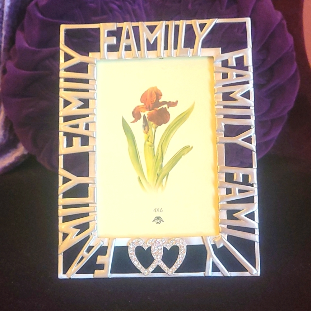 Silver Tone Picture Frame